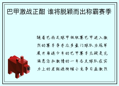 巴甲激战正酣 谁将脱颖而出称霸赛季
