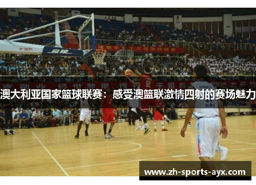 澳大利亚国家篮球联赛：感受澳篮联激情四射的赛场魅力